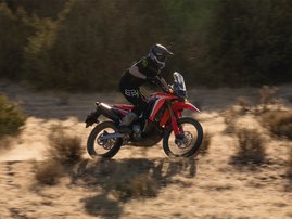 CRF300-Rally-21YM-e-020