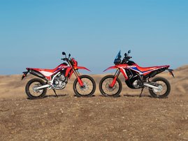 CRF300-Rally-21YM-e-031