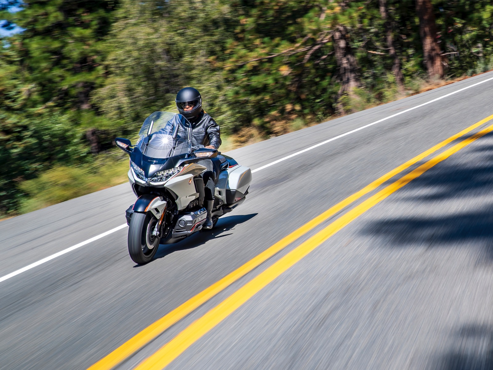 gl1800 gold wing bagger