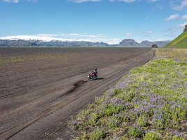 CRF1100-Africa-Twin-DCT-22YM-01-aws-10
