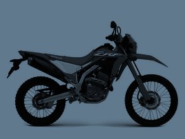 24YM CRF300L