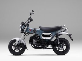 Pearl Cadet Gray