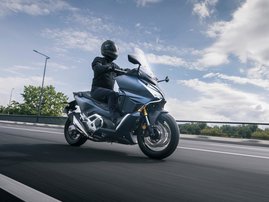 Matt Warm Ash Metallic