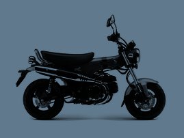 ST125 Dax