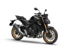 Mat Ballistic Black Metallic