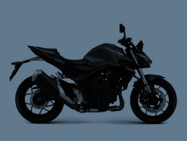 CB1000 Hornet