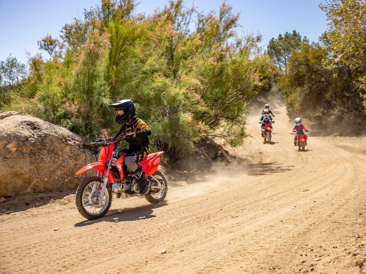 25YM-Honda-CRF110F-02