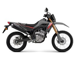 25YM CRF300L