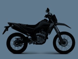 25YM CRF300L