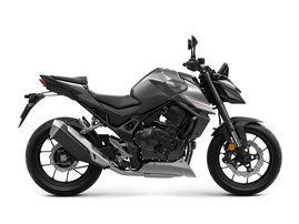 Wolf Silver Metallic